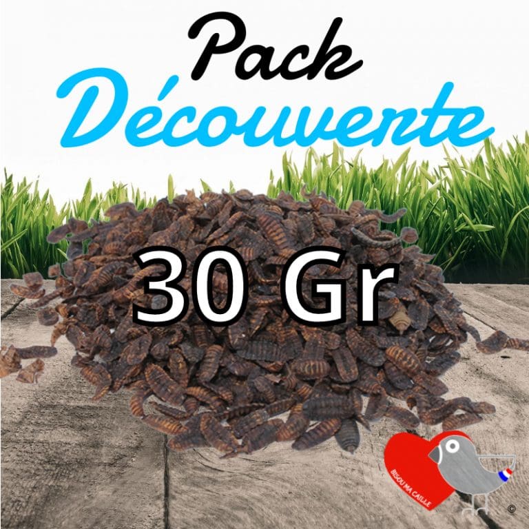 Larves de Mouches Soldats Noires Déshydratées Label Bisou ma Caille - PACK DÉCOUVERTE 30gr
