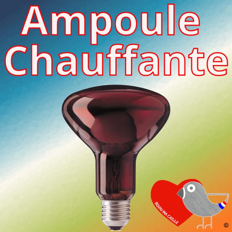 Ampoule Infrarouge 100 W Chauffante - Rouge