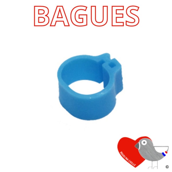 Bagues Bleu pour Cailles du Japon x20