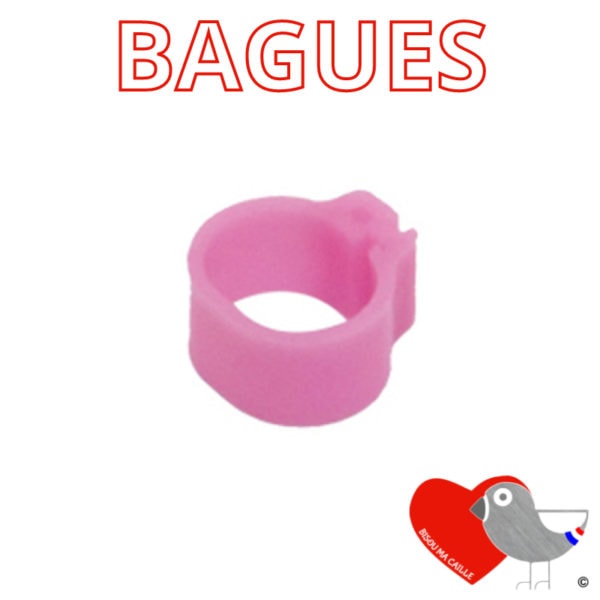Bagues Rose pour Cailles du Japon x20