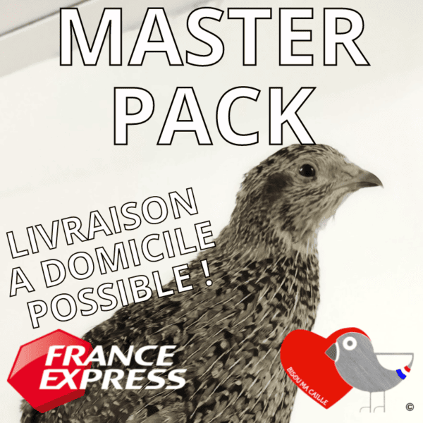 RÉSERVATION - Master Pack Adultes Bisou ma Caille: 10 Femelles + 1 Male offert! Coloris mixés AVRIL 2023