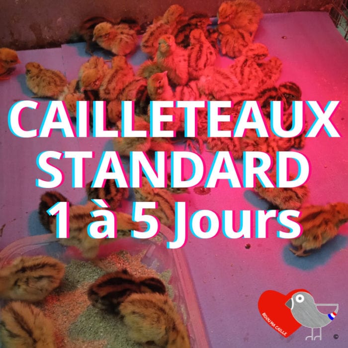 CAILLETEAUX 1 A 5 JOURS STANDARD BMC