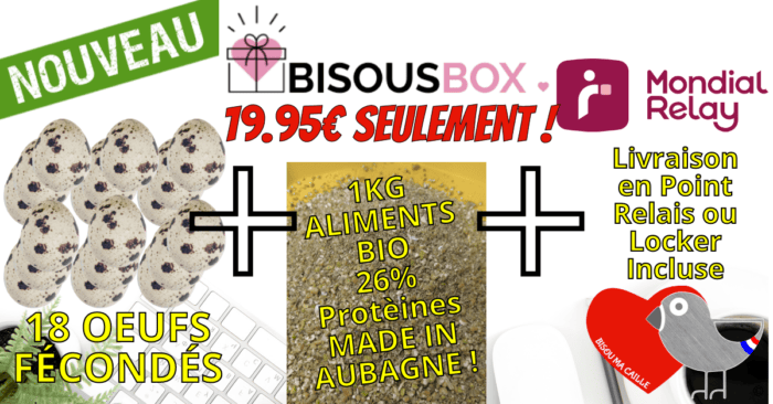 BISOUS BOX 2 MR BMC